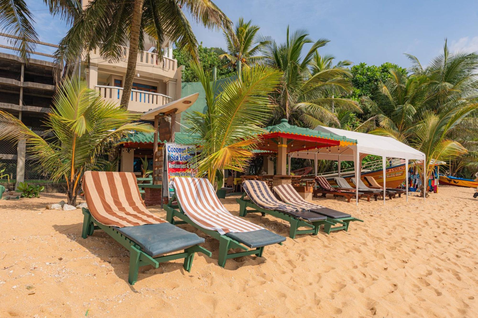 Hotel Coconut Bar Sea Lodge Beruwala Extérieur photo
