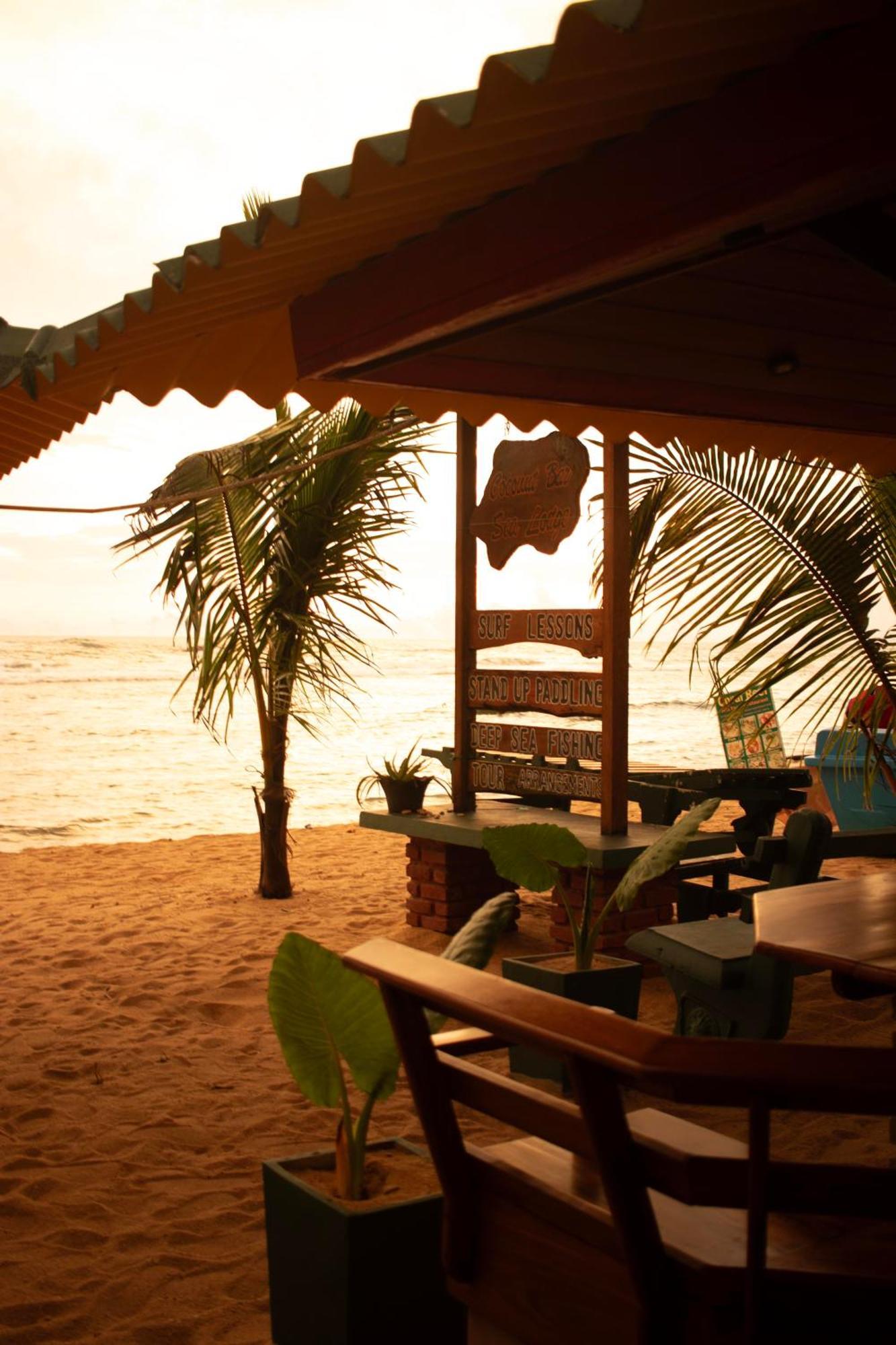 Hotel Coconut Bar Sea Lodge Beruwala Extérieur photo